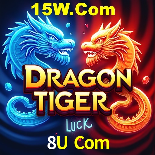 2FA Security 8U Com