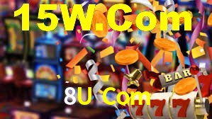 Premium Interface 8U Com